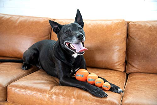Dog Tennis Ball Launcher N380