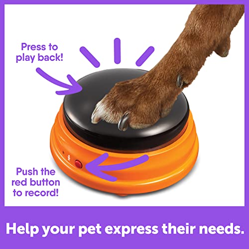 Talking Buttons Starter Set for Dogs, Recordable Communication Training H824018