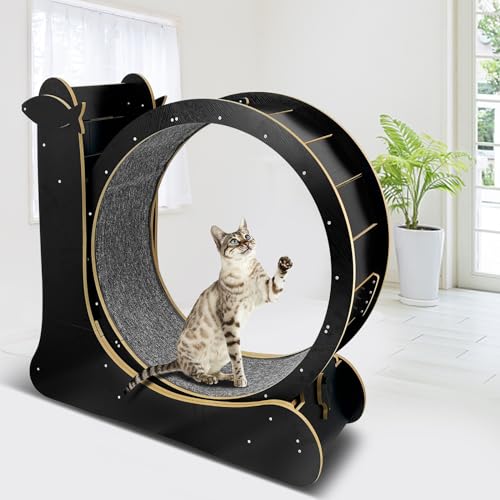 Cat Exercise Wheel for Indoor Cats with Silent TPE Roller A566