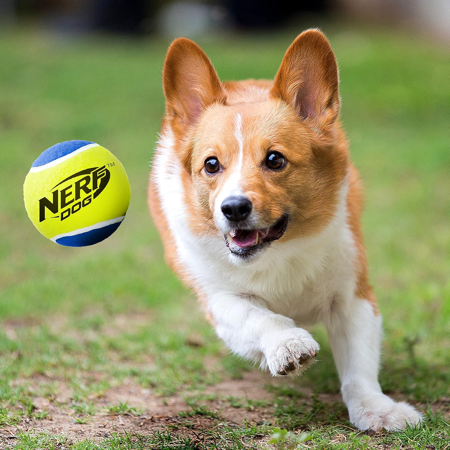 Dog Tennis Ball Toys with Squeaker, 3 Inches, Two Pack U706