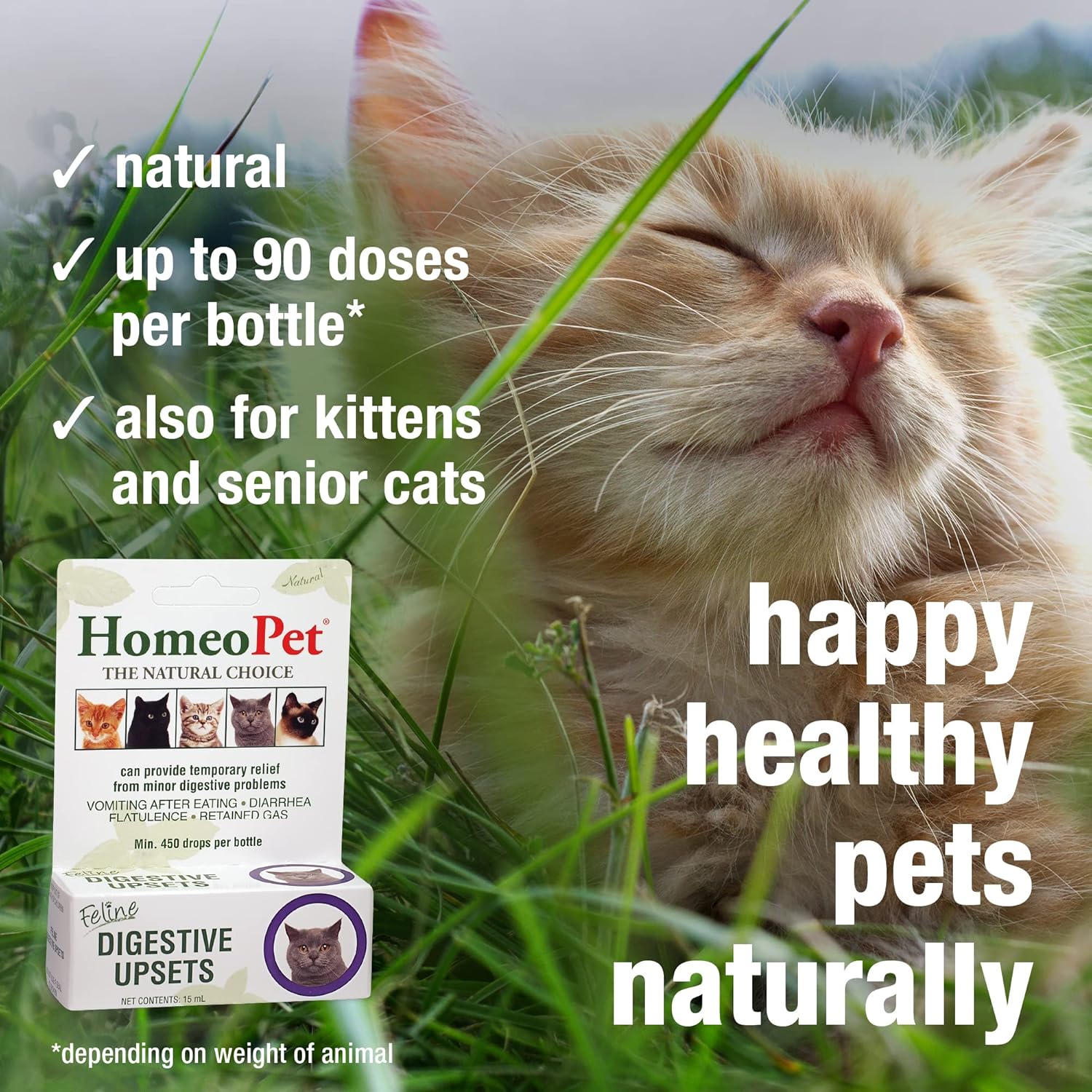 Feline Digestive Support for Cats and Kittens, 15 Milliliters N799107