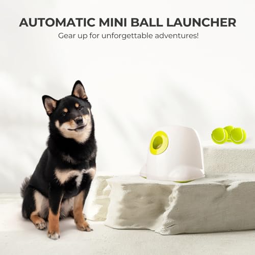 Automatic Ball Launcher for Small and Medium Dogs, 3 Balls Included R48097