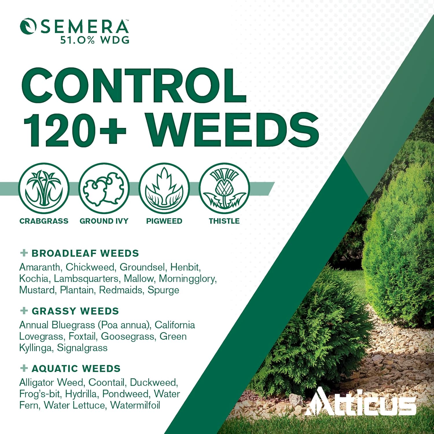 Aquatic Herbicide for Duckweed and Floating Vegetation O1562