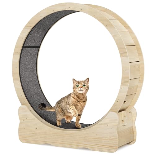 Cat Wheel Exerciser for Indoor Cats, 43.3 Inch Solid Wood with Carpeted Runway K394116