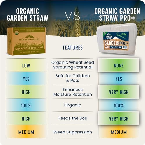 Organic Seedless Garden Straw Mulch Cover, 120 sq. ft. K432525