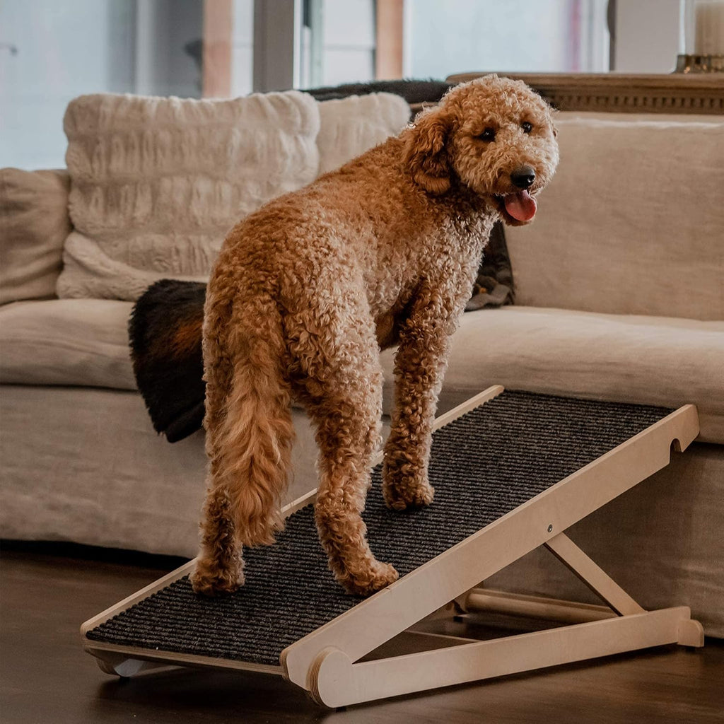 Adjustable Dog Ramp for Couch or Bed with Paw Traction Mat, 40" Long, Fits Small Dogs A6444