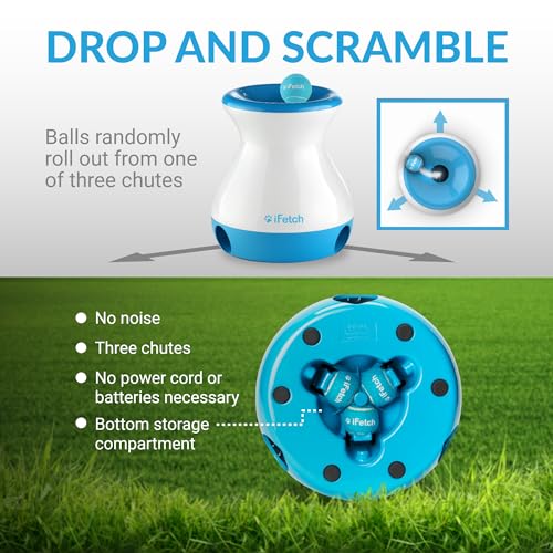 Interactive Dog Toy with 3 Tennis Balls for Small and Medium Dogs T562