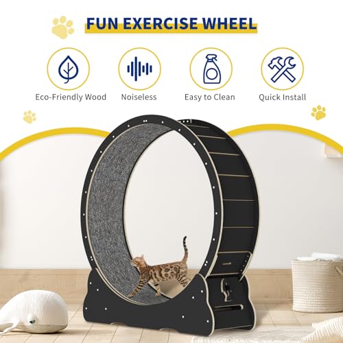 Cat Exercise Wheel for Indoor Cats with Anti-Scratch Pads S26607