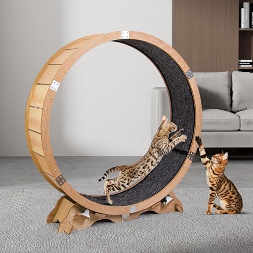 Cat Exercise Wheel for Indoor Cats, Maple Wood Running Wheel Y737265