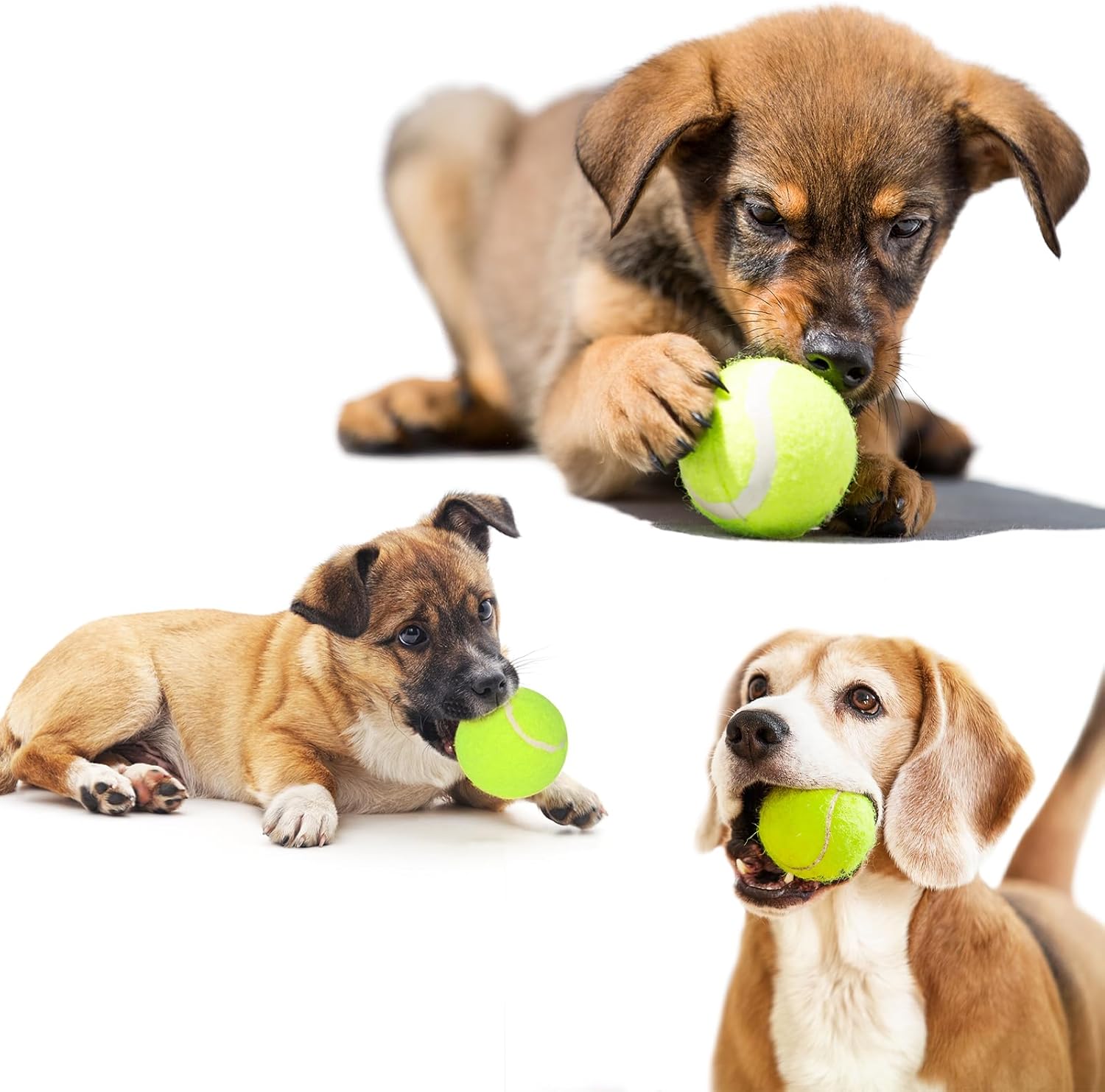 12 Pack Small Dog Tennis Balls, Durable Toy F497