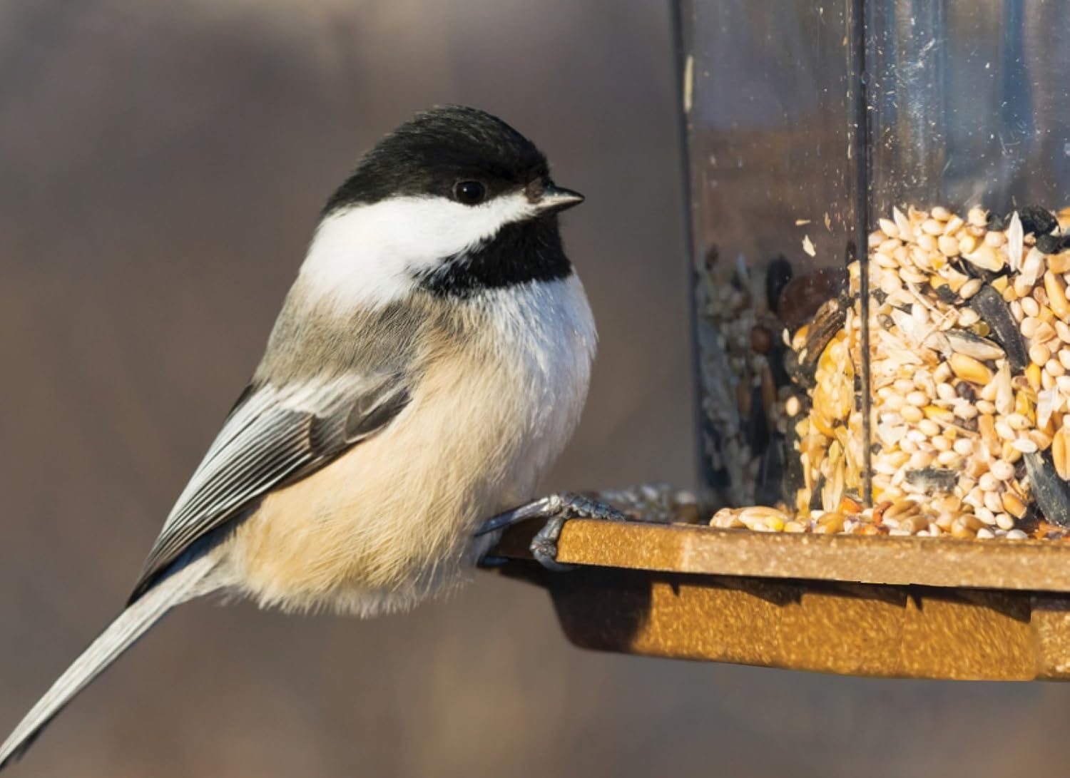 Wild Bird Food, 10-Pounds H1500