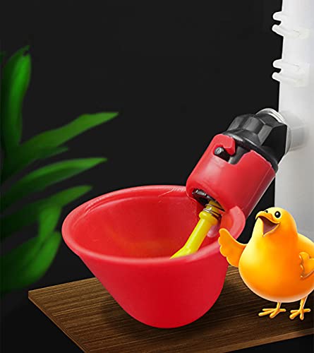 Chicken Drinking Cup for Poultry Watering (36 Pack) A301114