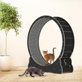 Cat Wheel, 35.4'' Cat Exercise Wheel for Indoor Cats with 2 Anti-Scratch Pads, Solid Wood Cat Wheel Exerciser for Walking, Running, Training, Cat Treadmill Fit for Indoor Cats (Wood)