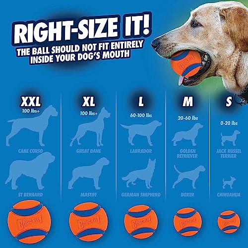 Dog Tug Toy for Medium Dogs O2353