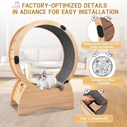 Cat Exercise Wheel - Indoor Wooden Running Wheel for Kitty C405