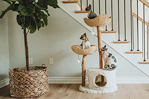 Modern Cat Tree Tower for Large Cats with Scratching Posts I41660