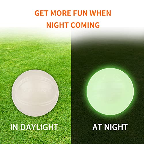 Interactive Squeaky Dog Ball, Glow in Dark, Floating Toy for Dogs R133373