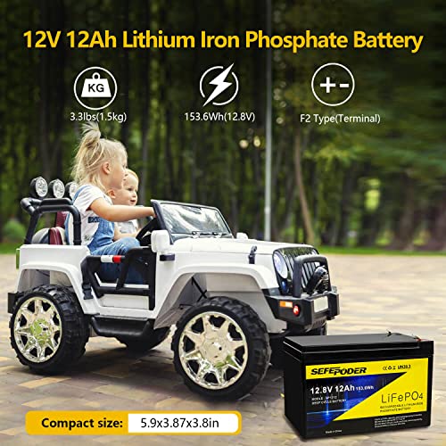 12V 15Ah LiFePO4 Deep Cycle Battery 2 Pack with Built-in 16A BMS D800