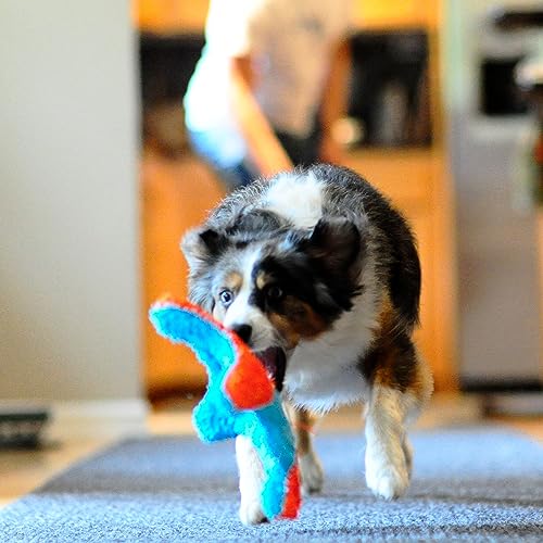 Indoor Fetch Tumbler Dog Toy, 6.5 Inch K83440