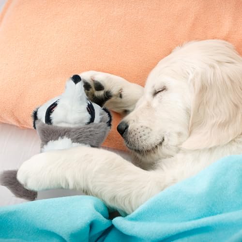 2-in-1 Crinkle Dog Toys with Soft Fabric, Holds Water Bottles, Large Size Stuffless Squeaky Toys M106