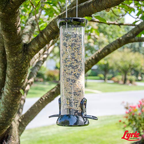 Wild Bird Mix Bird Seed for Outside Feeders, 40 lb. Bag C71327