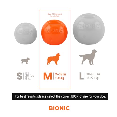 Ball Dog Toy, Small - Interactive Chew Toy for Dogs up to 20 lbs K221861