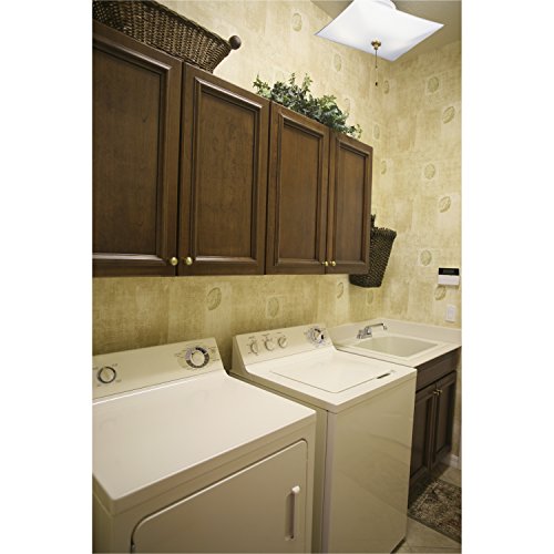 Two-Light Semi-Flush-Mount Ceiling Fixture with Pull Chain, White G945855