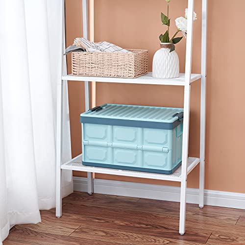 Collapsible Storage Bins with Lids 30L, Stackable Plastic Crates 2-Pack E2742