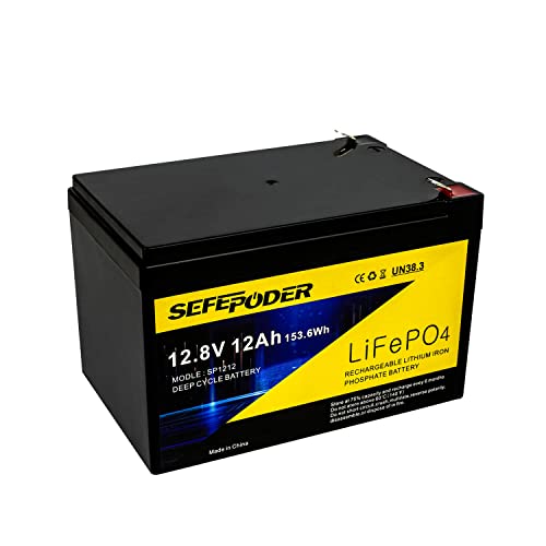 2 Pack 12V 15Ah LiFePO4 Deep Cycle Battery, 2000+ Cycles Rechargeable Battery for Lighting, Power Wheels, Fish Finder and More with Built-in 16A BMS