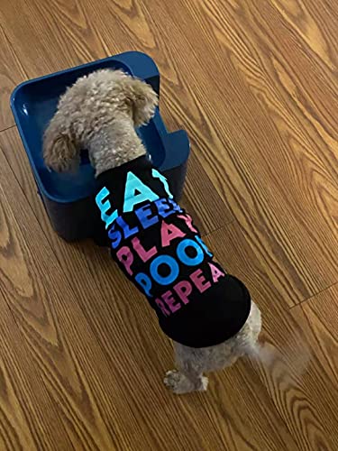 Automatic Dog Ball Launcher for Medium and Large Dogs, Remote Control, Indoor Outdoor Toy S449