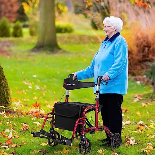 2 in 1 Rollator Walker with Seat for Seniors, Folding, 8-inch Wheels I124