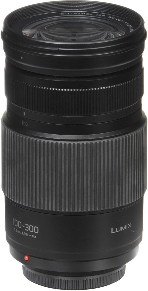 100-300mm Mirrorless Telephoto Zoom Lens J261