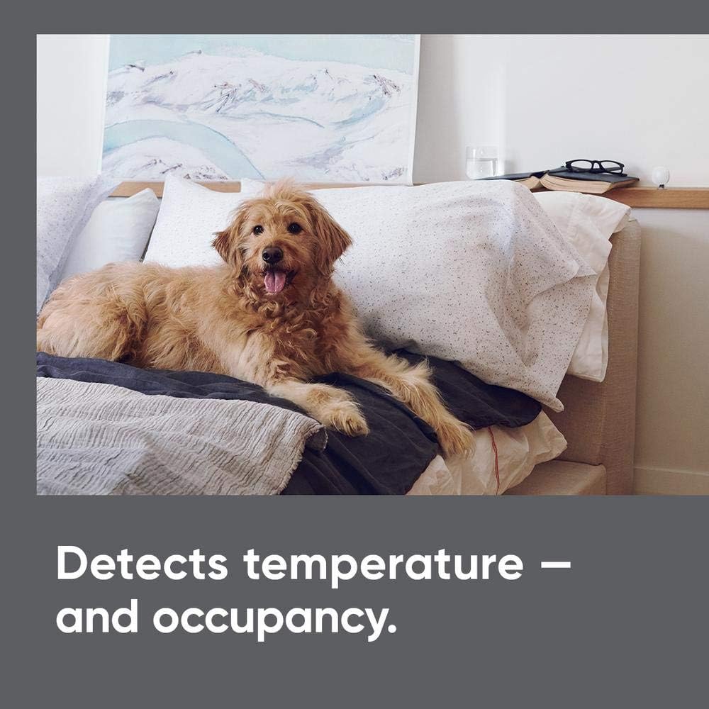 Smart Comfort Occupancy Sensor (2-Pack) P3806
