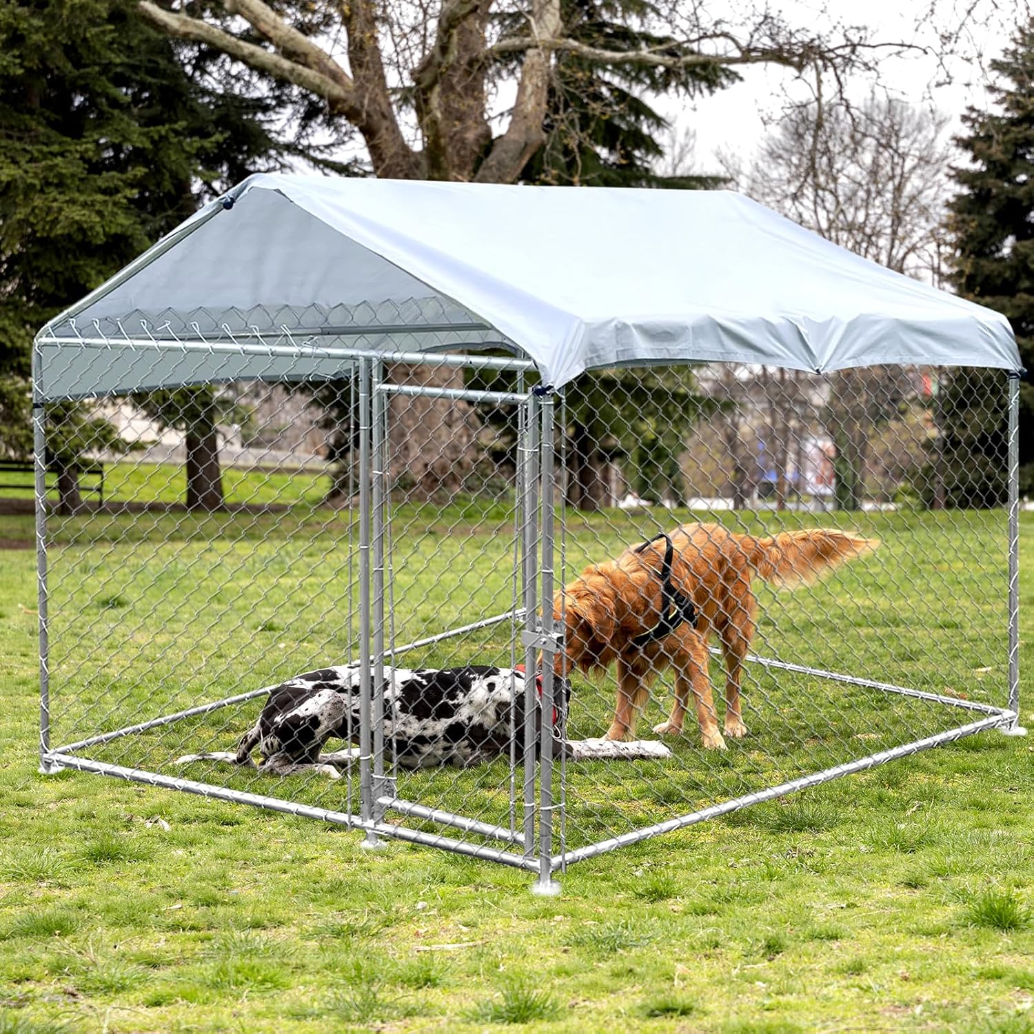 Outdoor Dog Kennel with Waterproof Roof and Lockable Door, 6.5x6.5x5 ft C53000