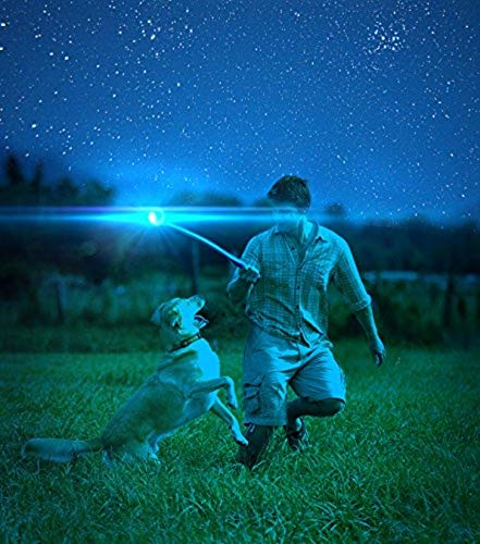 Glow Ball Dog Toy for Large Dogs H44017