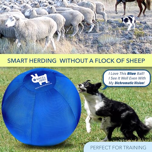 Herding Ball for Dogs Small & Puppies, 18" Complete Set Dog Toy O62925