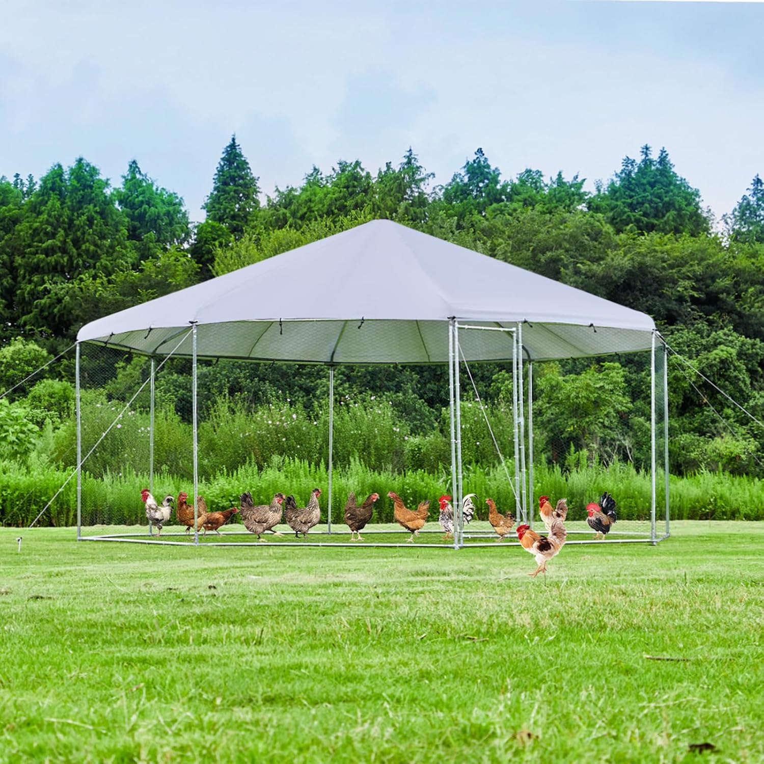 Large Octagon Chicken Coop, Heavy-Duty Chicken Run 17.4' Diameter with Galvanized Steel Frame & Water-Resistant Oxford Tarp, Spacious Multi-Animal Habitat