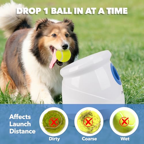 Automatic Ball Launcher for Large Dogs with Tennis Balls Q1905