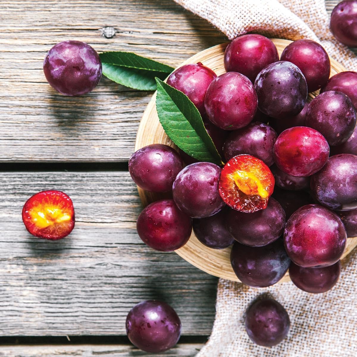 Wild Plum Tree Fruit Seeds for Planting Outdoor Perennial U773681