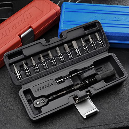 Bike Torque Wrench Set 2-20 Nm with Hex/Torx Bits S283