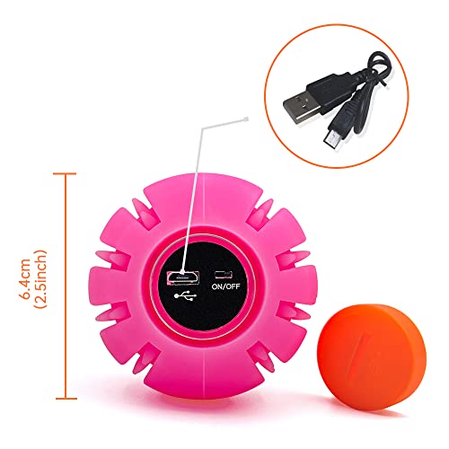 LED Dog Ball, Glowing Interactive Toy with USB Rechargeable A5400