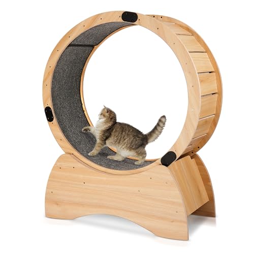 Cat Exercise Wheel - Indoor Treadmill for Cats, Large Wooden Running Wheel for Kitty, Silent and Safe Sports Exerciser with Lock Feature