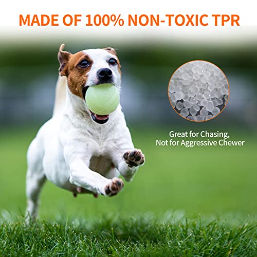 Interactive Squeaky Dog Ball, Glow in Dark, Floating Toy for Dogs R133373