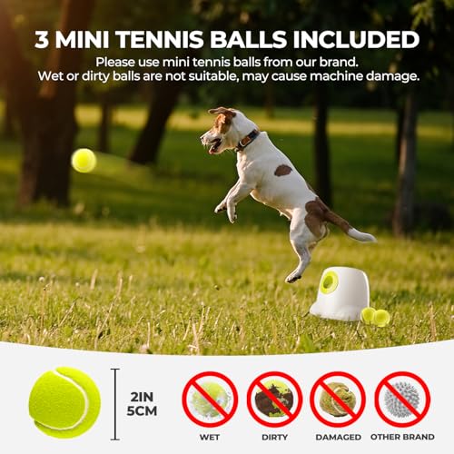 Automatic Ball Launcher for Small and Medium Dogs, 3 Balls Included R48097