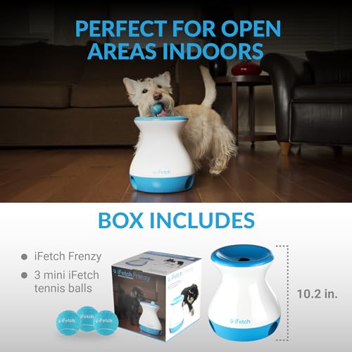 Interactive Dog Toy with 3 Tennis Balls for Small and Medium Dogs T562