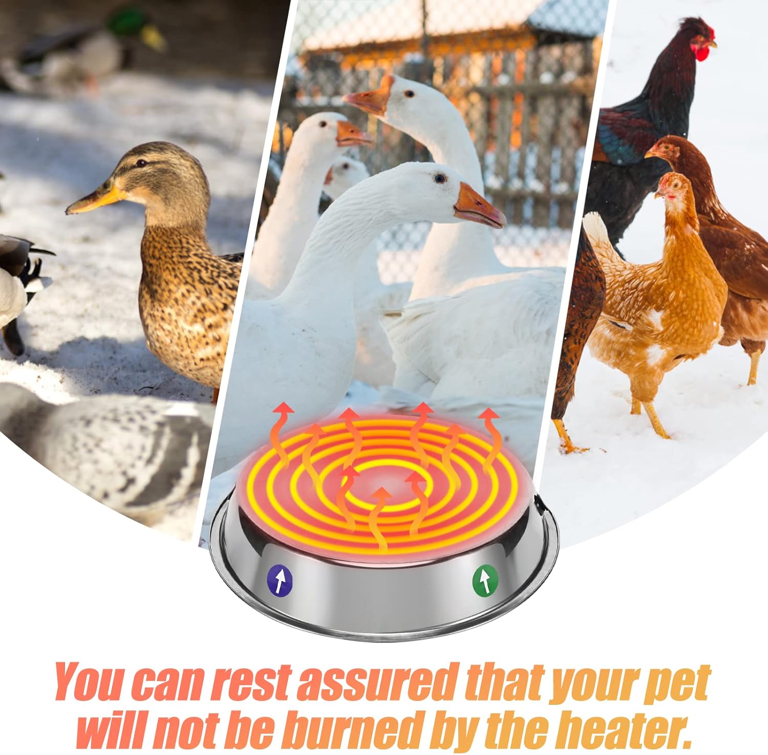 Heated Base for Poultry Waterer, Chicken Coop Water Heater with Cable S219657