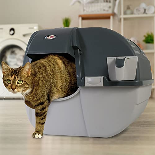 Self-Cleaning Litter Box with Integrated Litter Step and Sifting Grill, Gray Z819134
