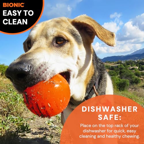 Ball Dog Toy, Small - Interactive Chew Toy for Dogs up to 20 lbs K221861