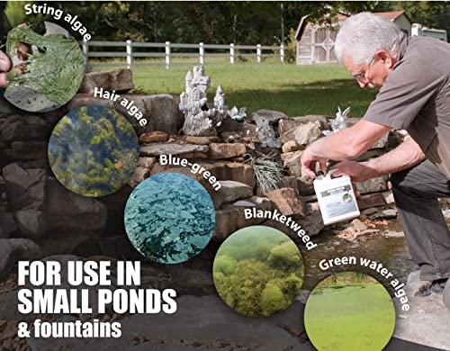Pond Algae Control - 64oz Algaecide for Fountains & Outdoor Fish Ponds N4077