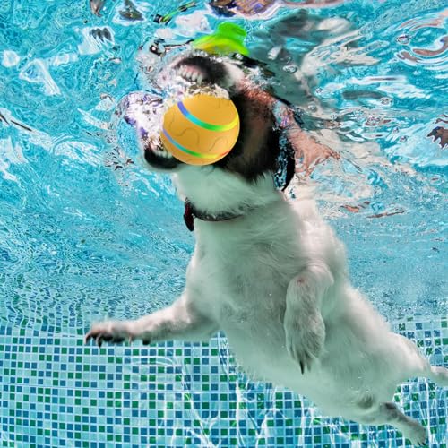 Self-Rolling Light-Up Jiggle Ball Toy for Dogs and Cats, Remote Control G766848